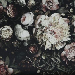 Meet your Posher, Lara